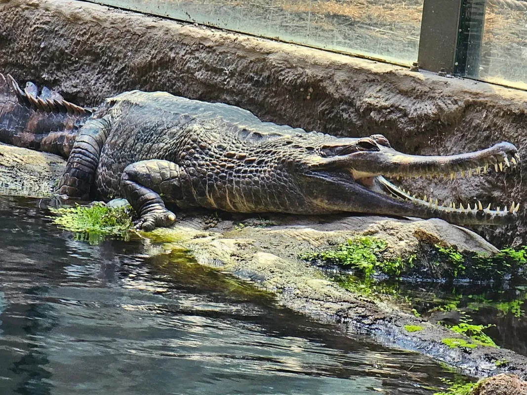 Orientarium ZOO Łódź
